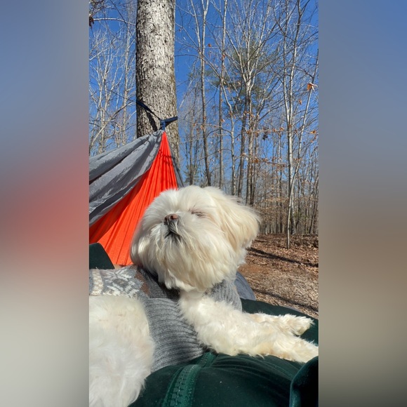 Meet your Posher, Stef๐ - Picture 2 of 11